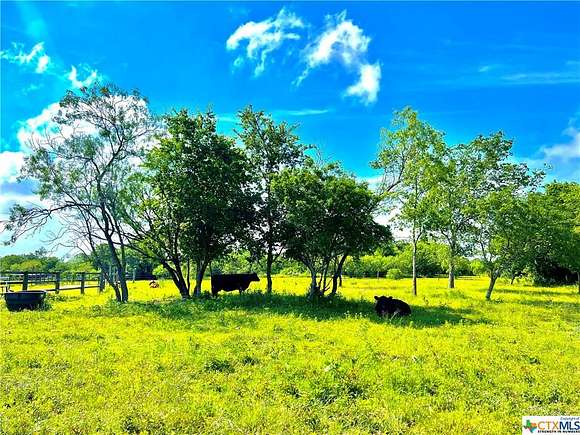 21 Acres of Agricultural Land for Sale in Luling, Texas