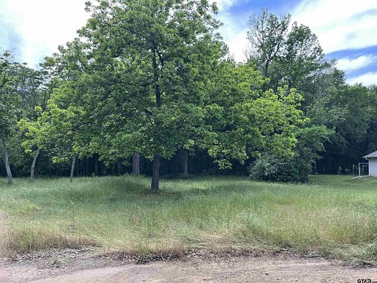 13.1 Acres of Land for Sale in Mount Pleasant, Texas