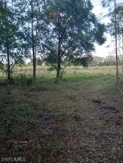 10 Acres of Land for Sale in Clewiston, Florida