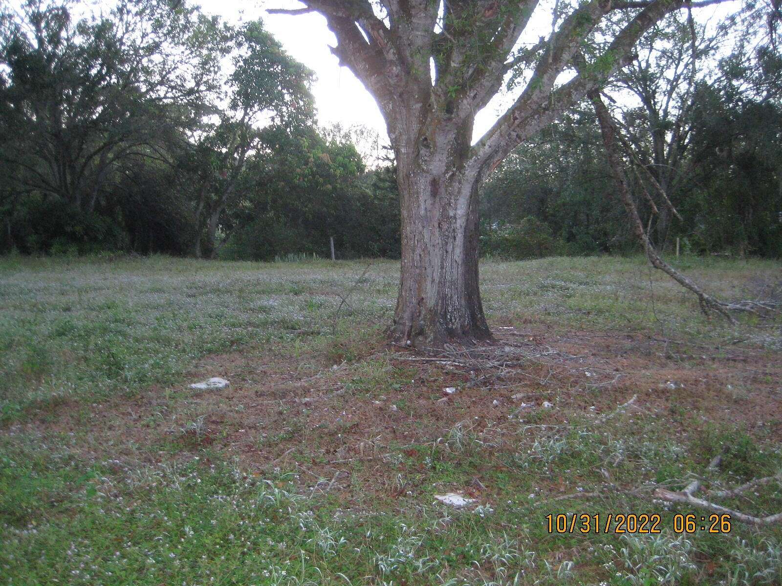 0.25 Acres of Residential Land for Sale in Okeechobee, Florida