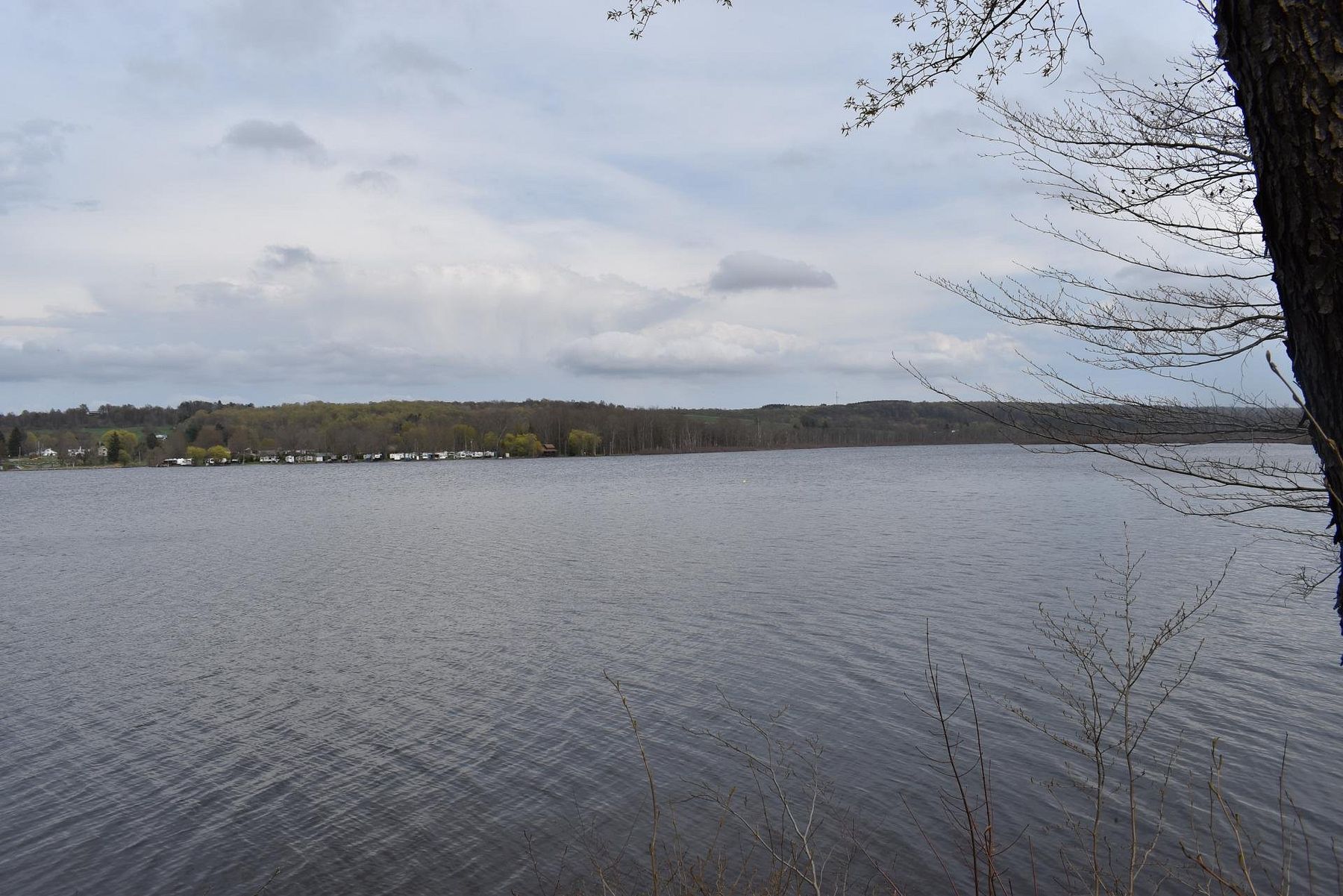 311 Acres of Recreational Land for Sale in Stockton, New York
