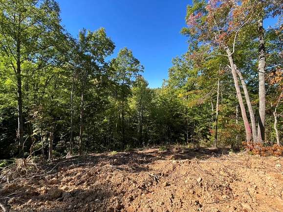 5.7 Acres of Residential Land with Home for Sale in Pigeon Forge, Tennessee