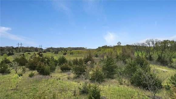 79 Acres of Land for Sale in Munson Township, Minnesota