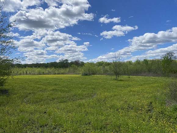 74 Acres of Recreational Land & Farm for Sale in Columbus, Mississippi