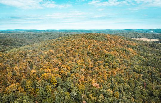 80 Acres of Recreational Land for Sale in Redford, Missouri