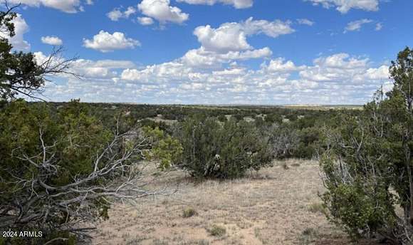 40.3 Acres of Recreational Land & Farm for Sale in St. Johns, Arizona
