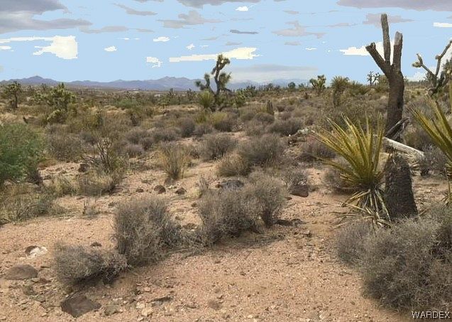 1 Acre of Residential Land for Sale in Meadview, Arizona