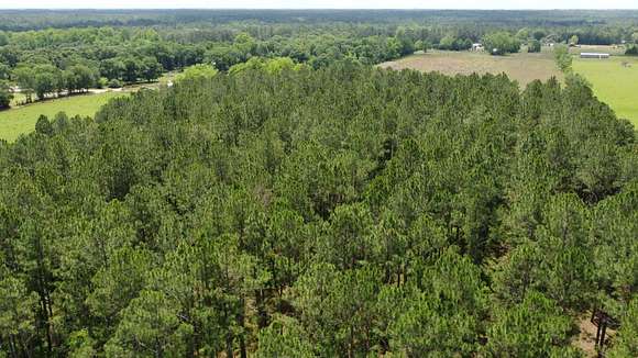 51 Acres of Land for Sale in Jesup, Georgia