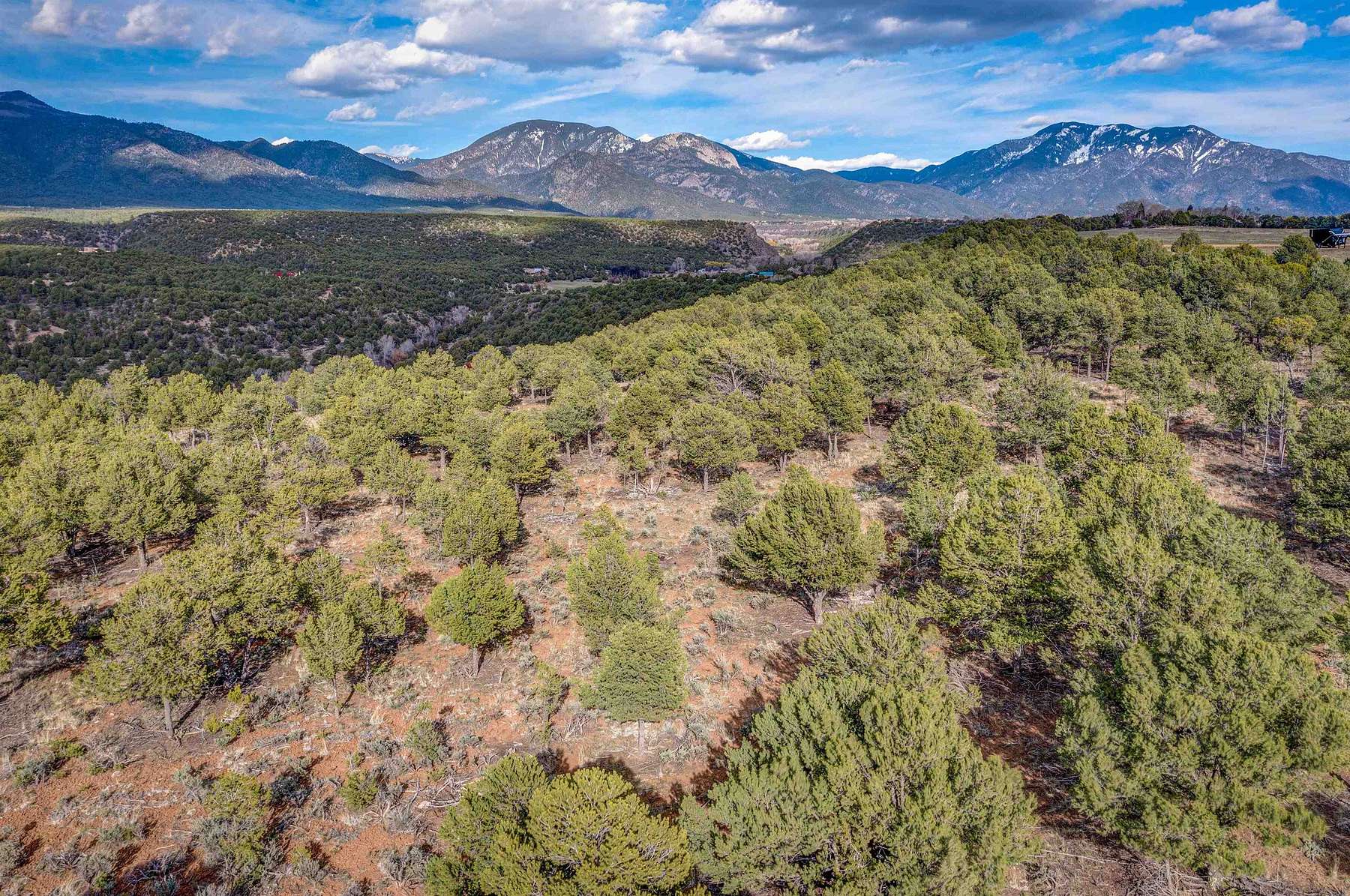 40 Acres of Recreational Land for Sale in Arroyo Seco, New Mexico