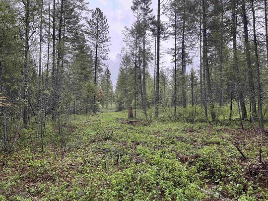 30 Acres of Land for Sale in Elk, Washington