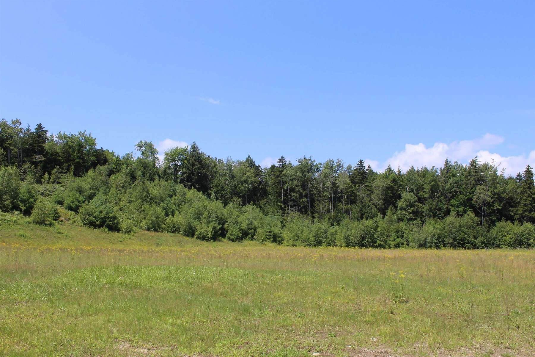 40 Acres of Agricultural Land for Sale in Stratton, Vermont