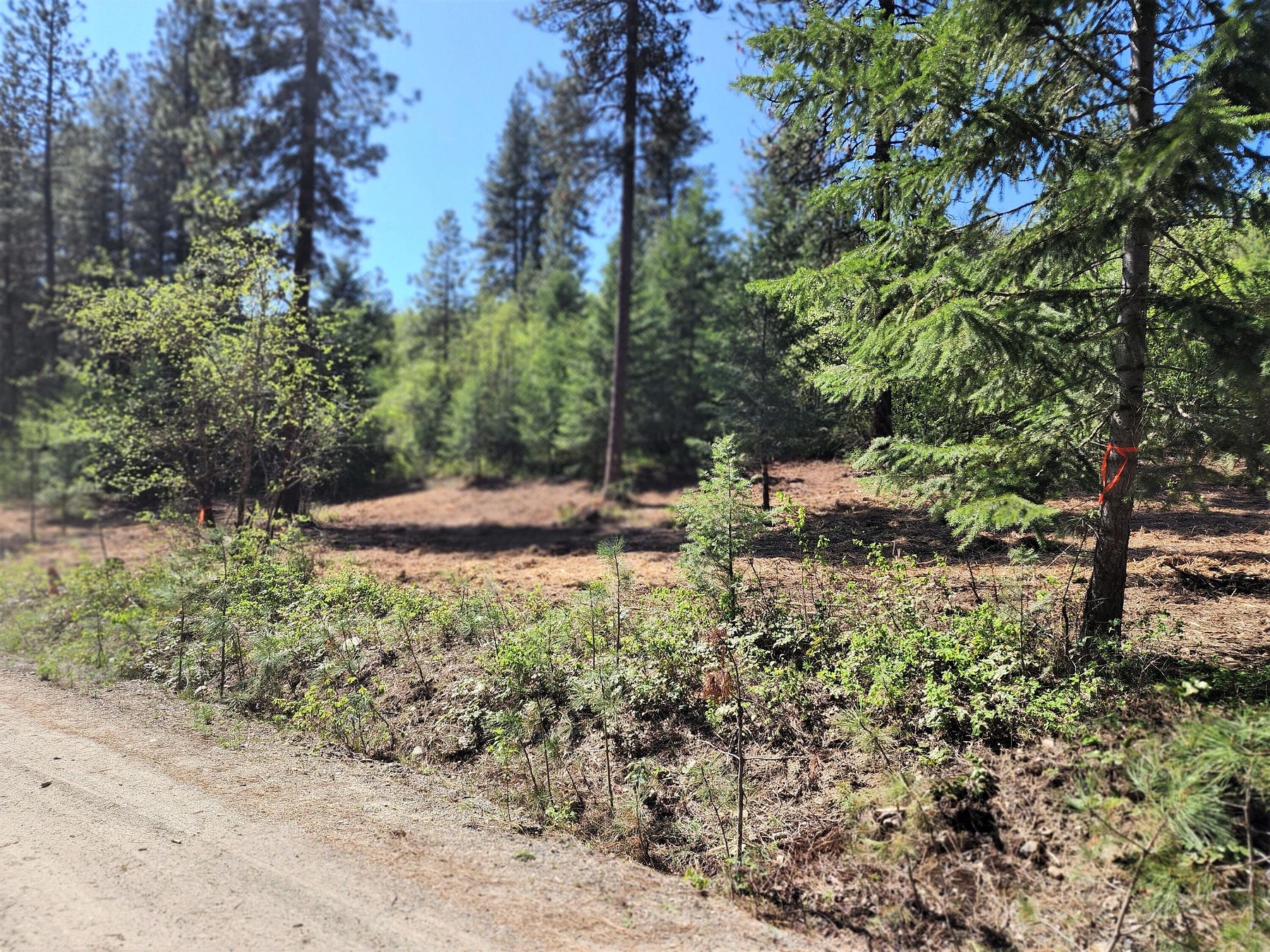 2.3 Acres of Residential Land for Sale in Kettle Falls, Washington