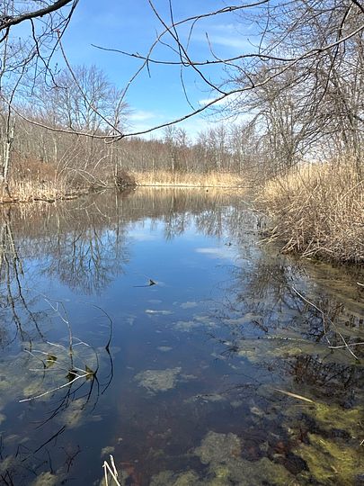 30.7 Acres of Recreational Land for Sale in Wappingers Falls, New York