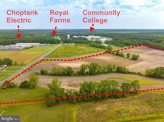 33.6 Acres of Agricultural Land for Sale in Parsonsburg, Maryland
