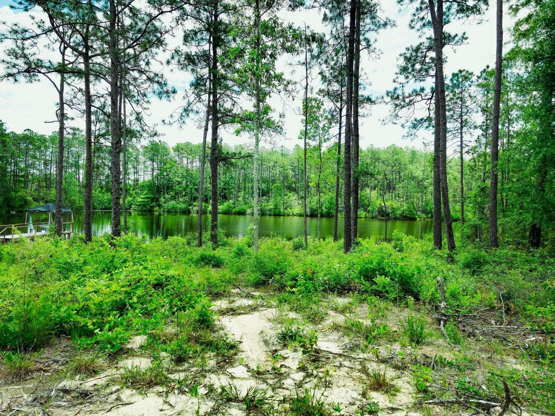 1 Acre of Residential Land for Sale in DeFuniak Springs, Florida