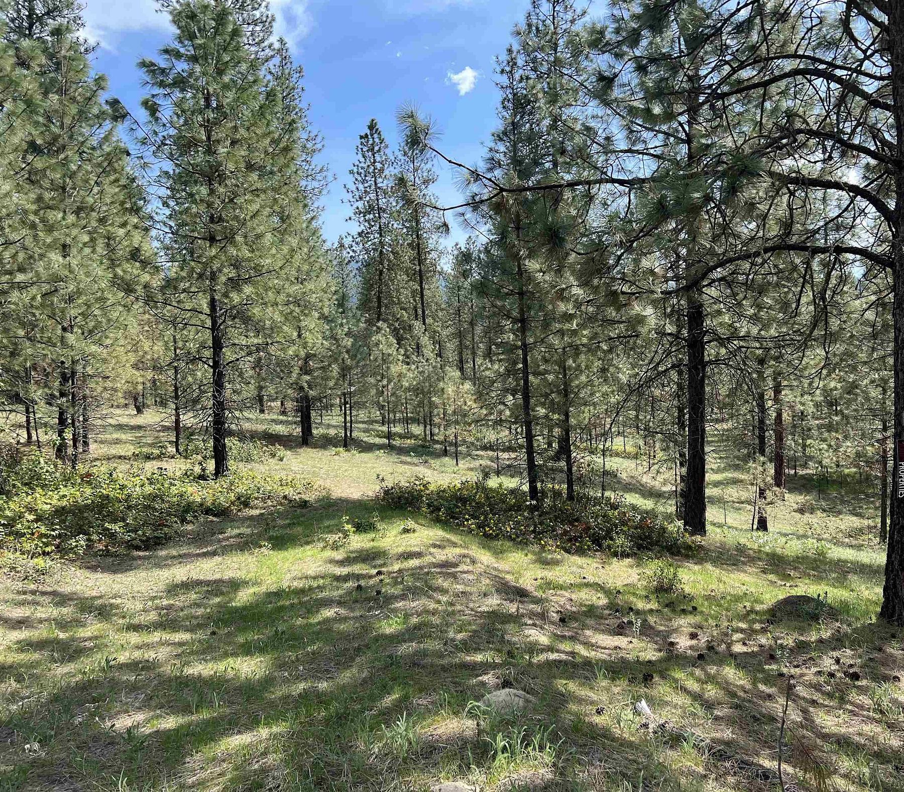 16.2 Acres of Land for Sale in Kettle Falls, Washington