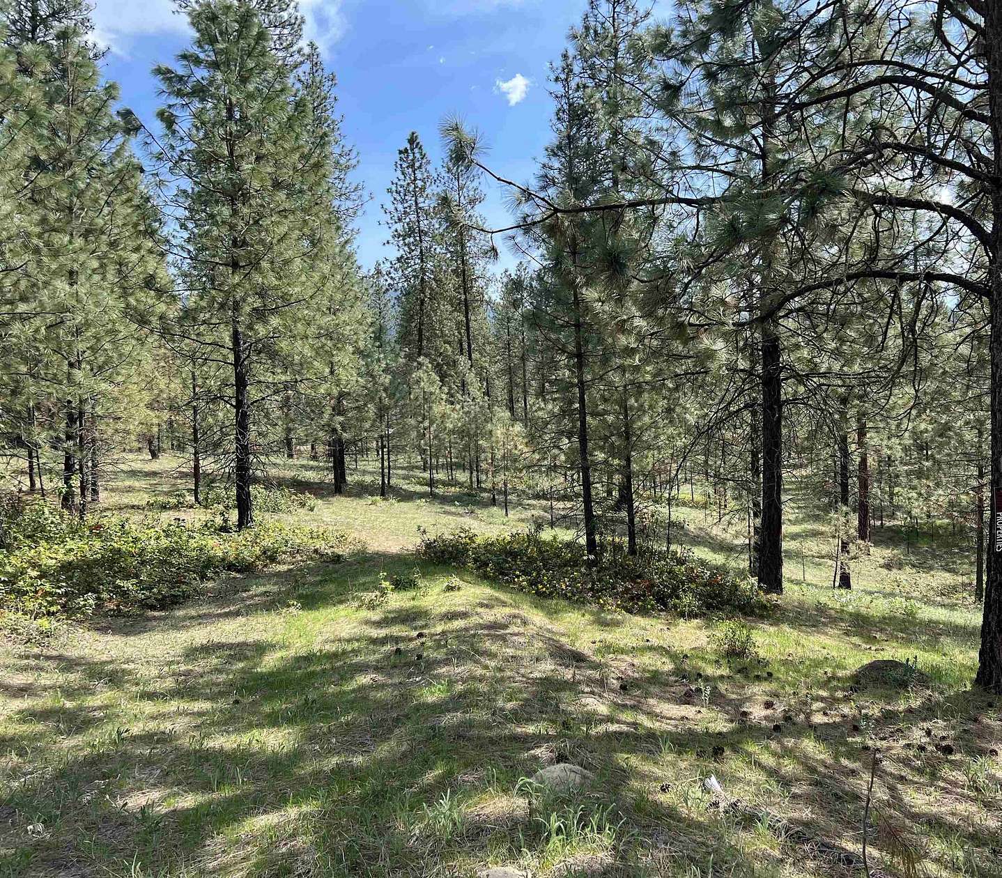 16.23 Acres of Land for Sale in Kettle Falls, Washington
