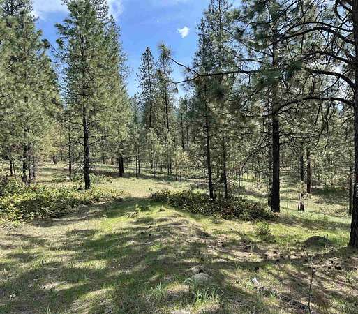 16.2 Acres of Land for Sale in Kettle Falls, Washington