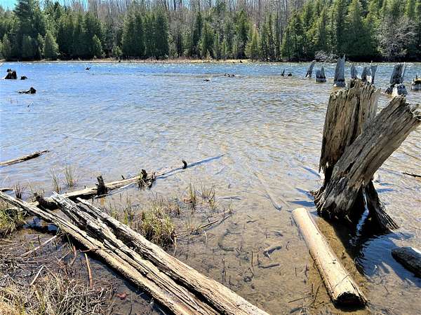 3.8 Acres of Land for Sale in Cheboygan, Michigan