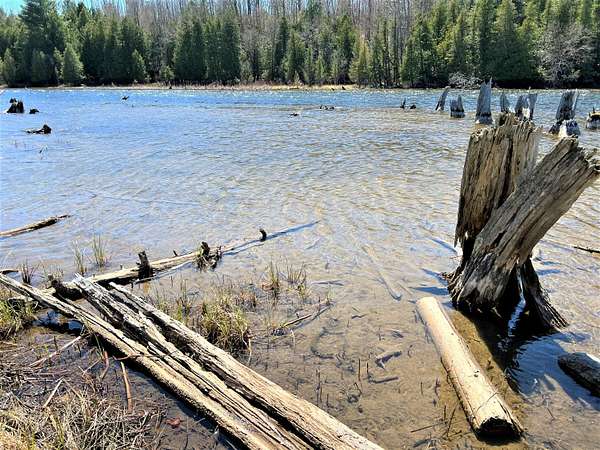 3.8 Acres of Land for Sale in Cheboygan, Michigan