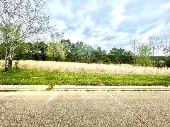 0.49 Acres of Residential Land for Sale in New Albany, Mississippi