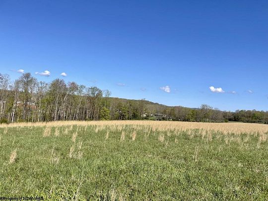 11 Acres of Land for Sale in Bruceton Mills, West Virginia