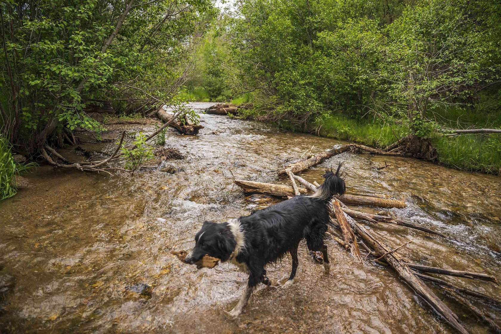 300 Acres of Land for Sale in Valdez, New Mexico