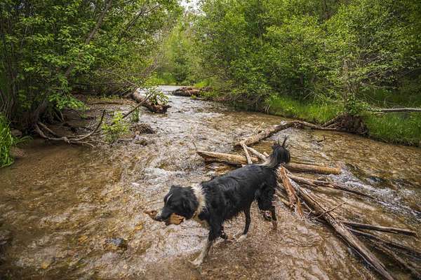 300 Acres of Land for Sale in Valdez, New Mexico