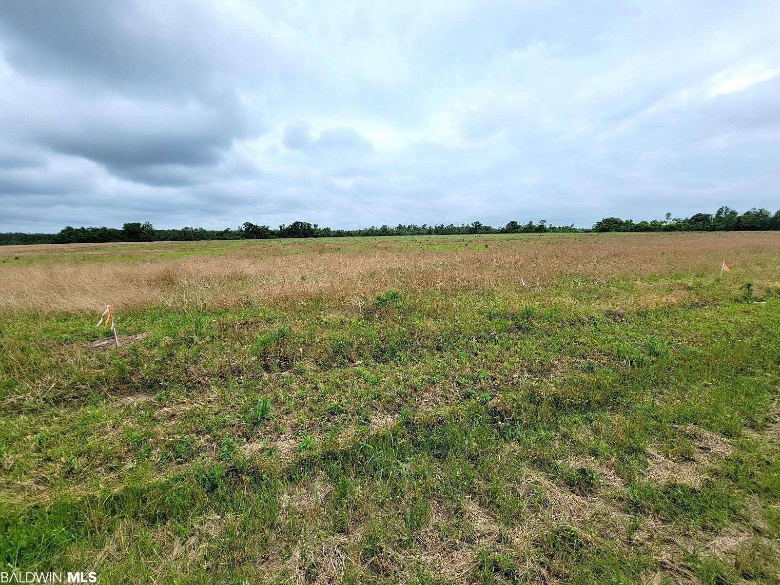 6.84 Acres of Residential Land for Sale in Foley, Alabama