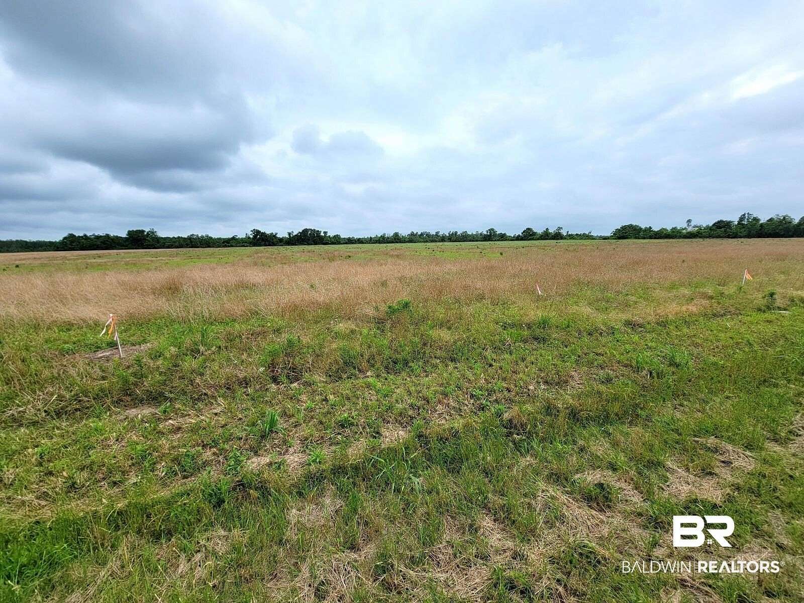 6.84 Acres of Residential Land for Sale in Foley, Alabama