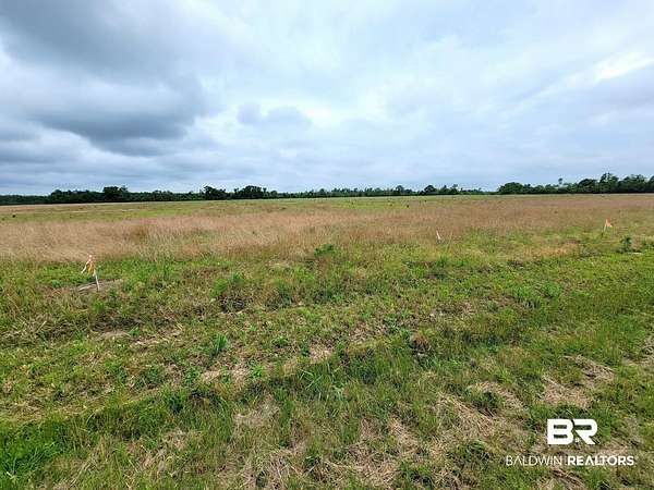 6.84 Acres of Residential Land for Sale in Foley, Alabama