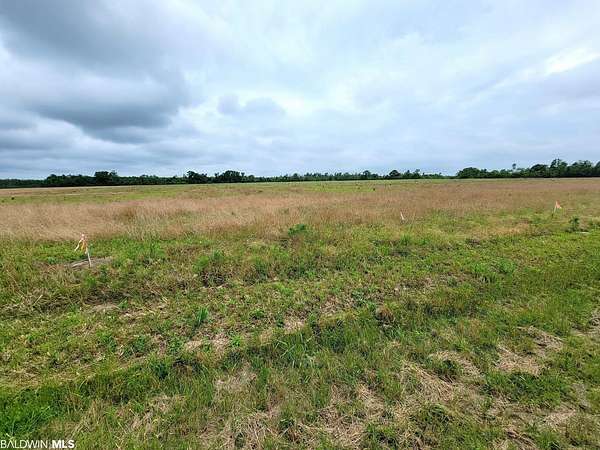 6.83 Acres of Residential Land for Sale in Foley, Alabama