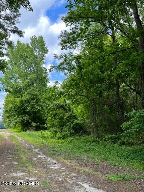 29.2 Acres of Recreational Land for Sale in Edenton, North Carolina