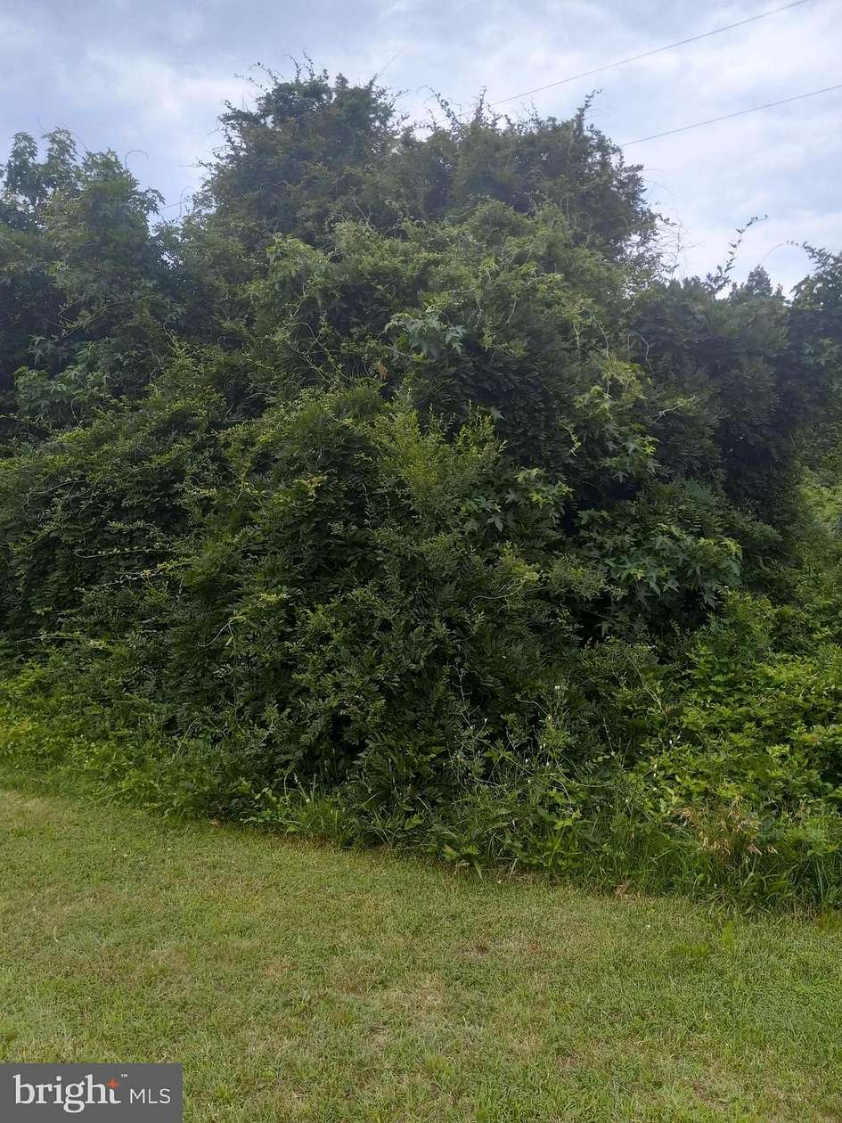 5.38 Acres of Residential Land for Sale in Spotsylvania, Virginia