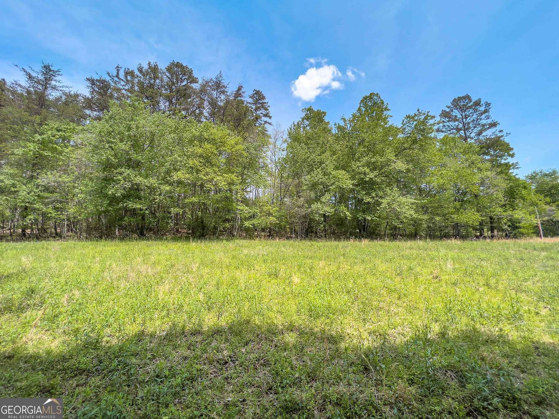 23.9 Acres of Agricultural Land for Sale in Mineral Bluff, Georgia