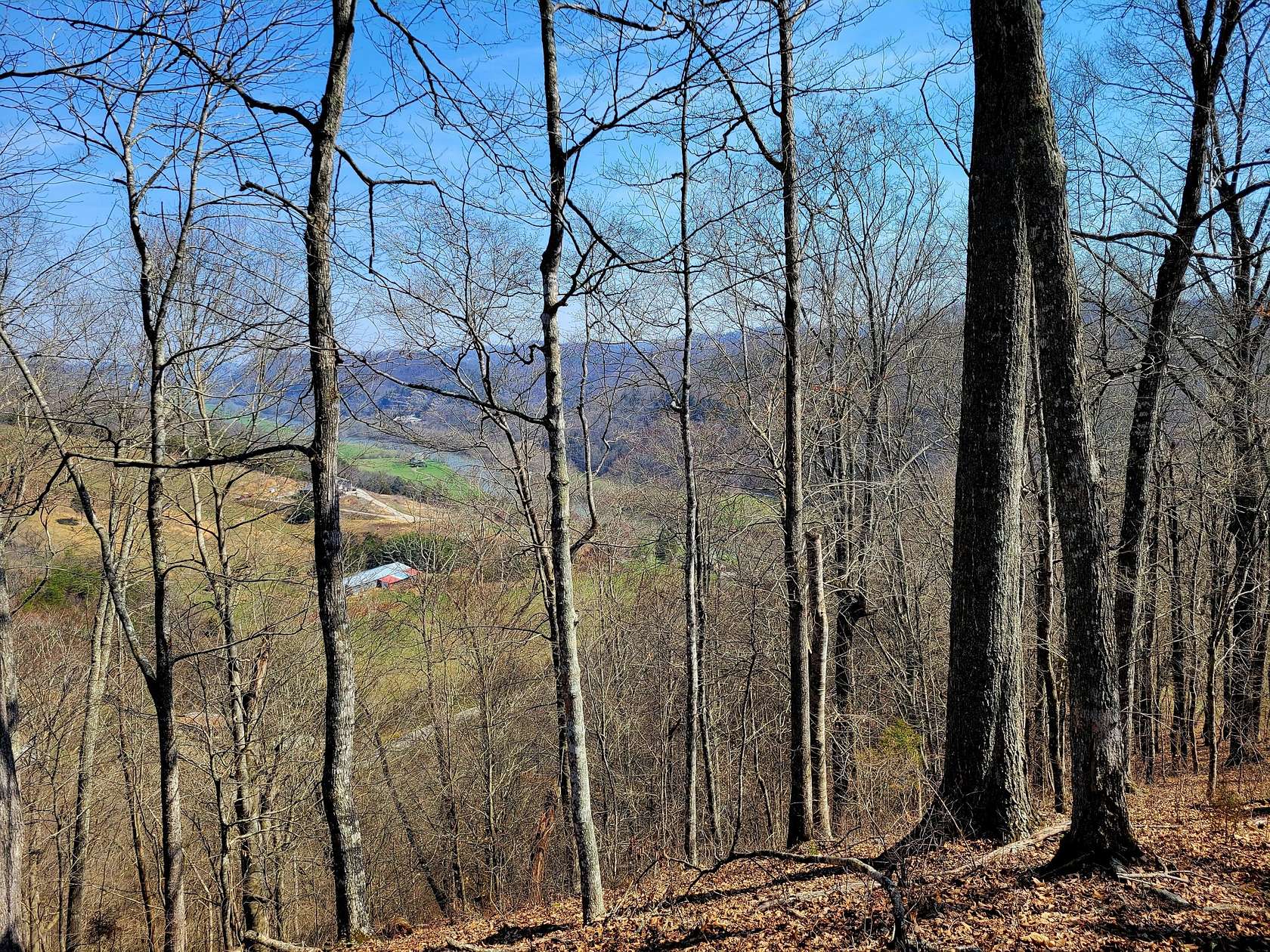 32.5 Acres of Land for Sale in Sneedville, Tennessee