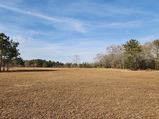113 Acres of Recreational Land for Sale in Bethune, South Carolina