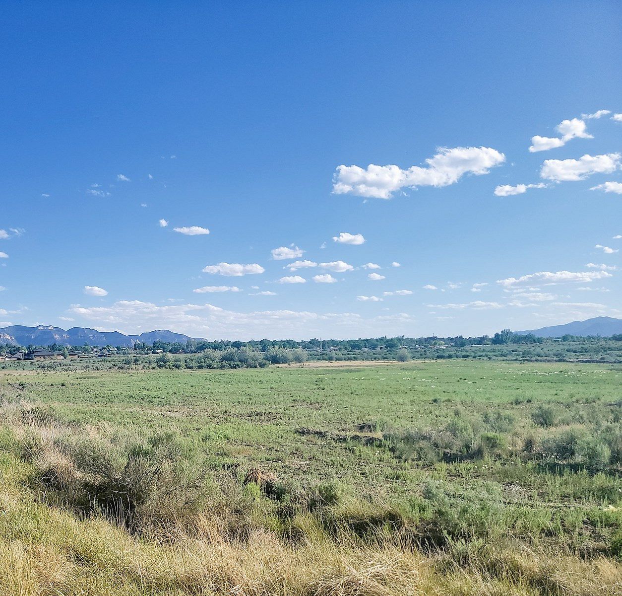 32.9 Acres of Land for Sale in Cortez, Colorado