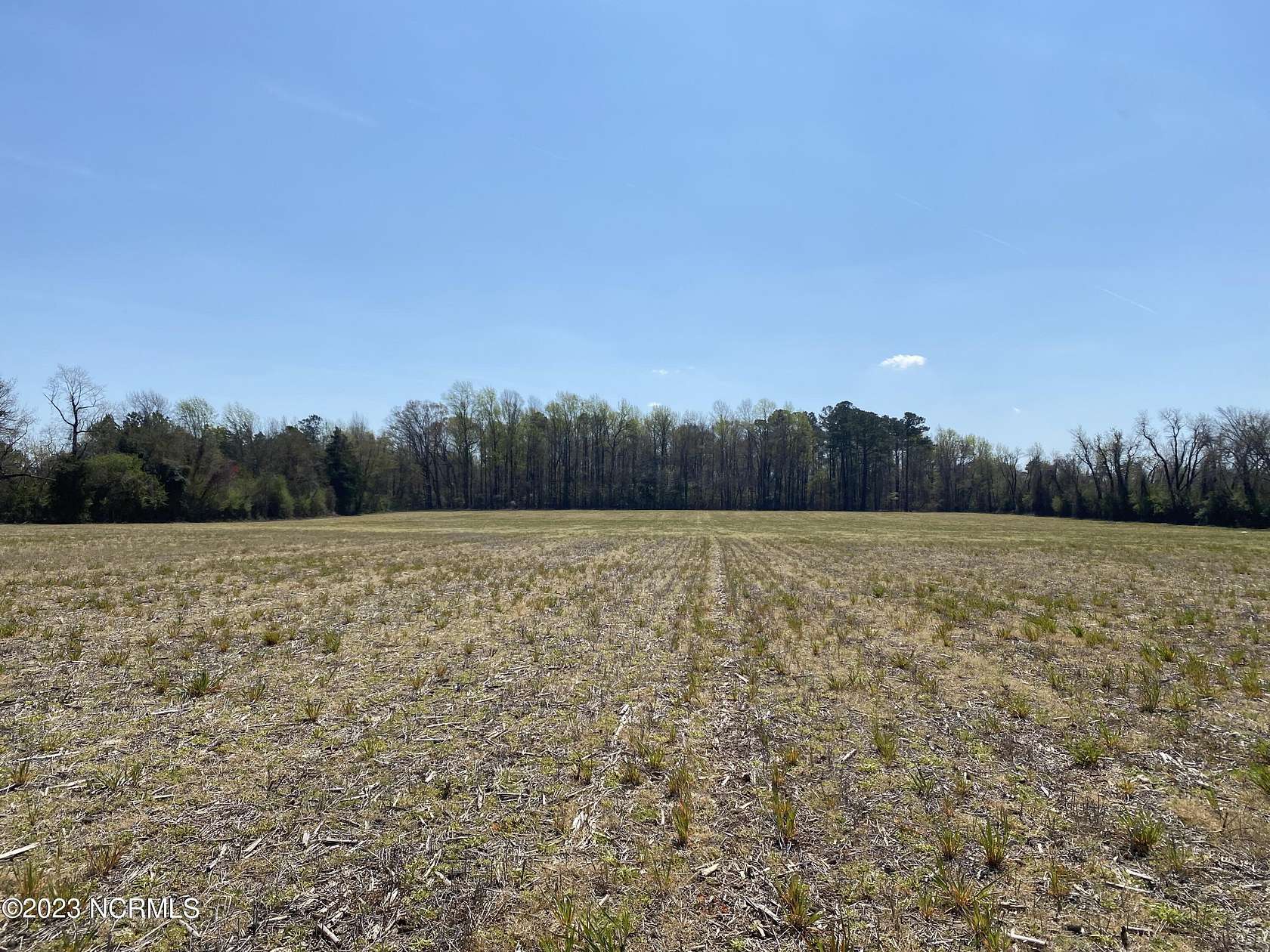 27.6 Acres of Land for Sale in Chocowinity, North Carolina