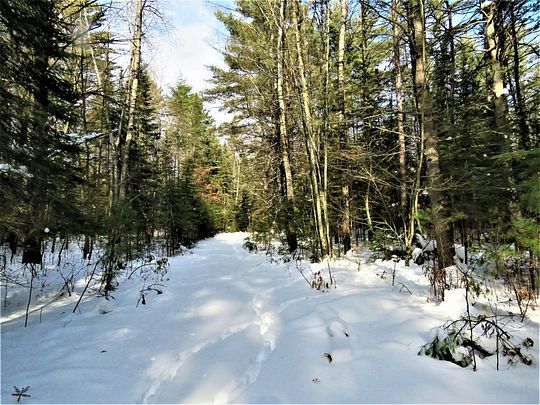 52 Acres of Land for Sale in Manitowish Waters, Wisconsin