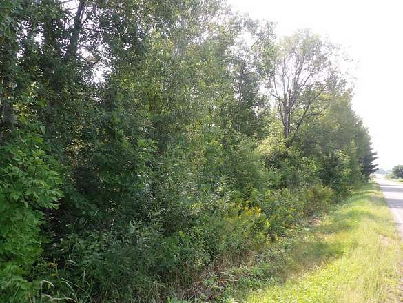 55 Acres of Land for Sale in Kennan, Wisconsin