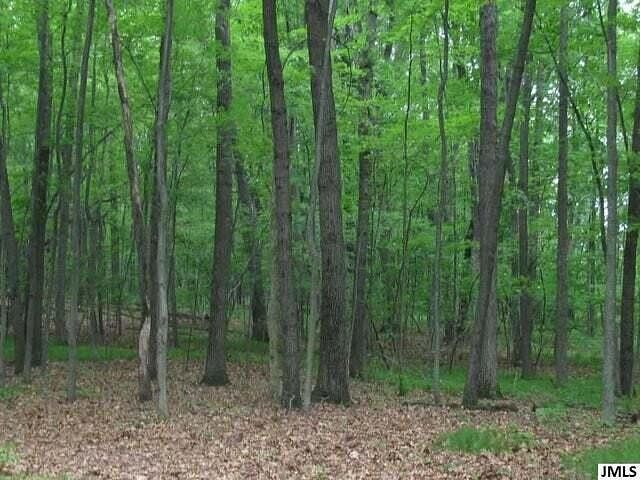 2.3 Acres of Residential Land for Sale in Jackson, Michigan