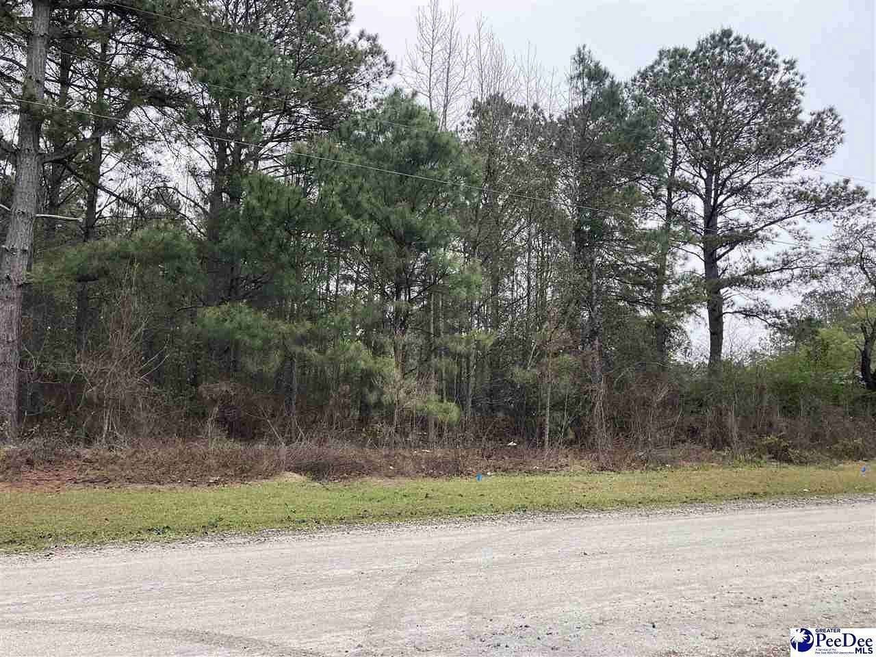 1.2 Acres of Residential Land for Sale in Dillon, South Carolina