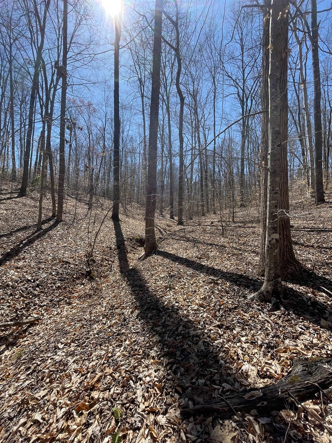 20 Acres of Recreational Land for Sale in Schuyler, Virginia