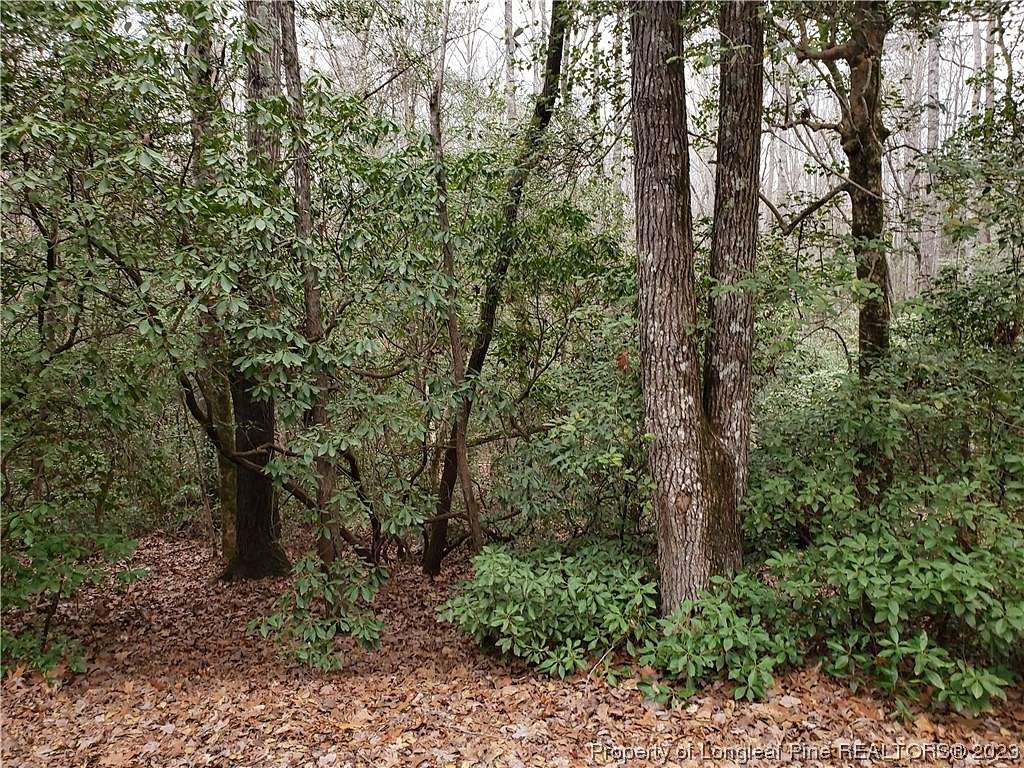 0.16 Acres of Residential Land for Sale in Sanford, North Carolina