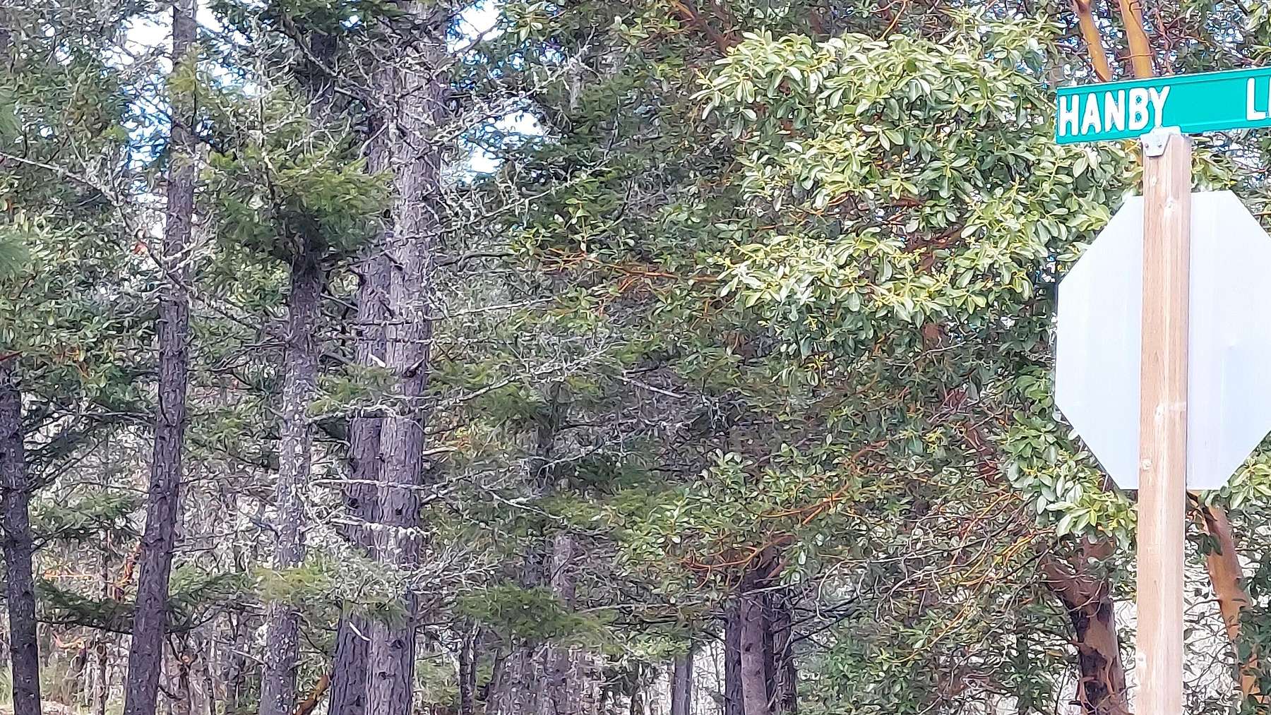 6.14 Acres of Residential Land for Sale in Cave Junction, Oregon