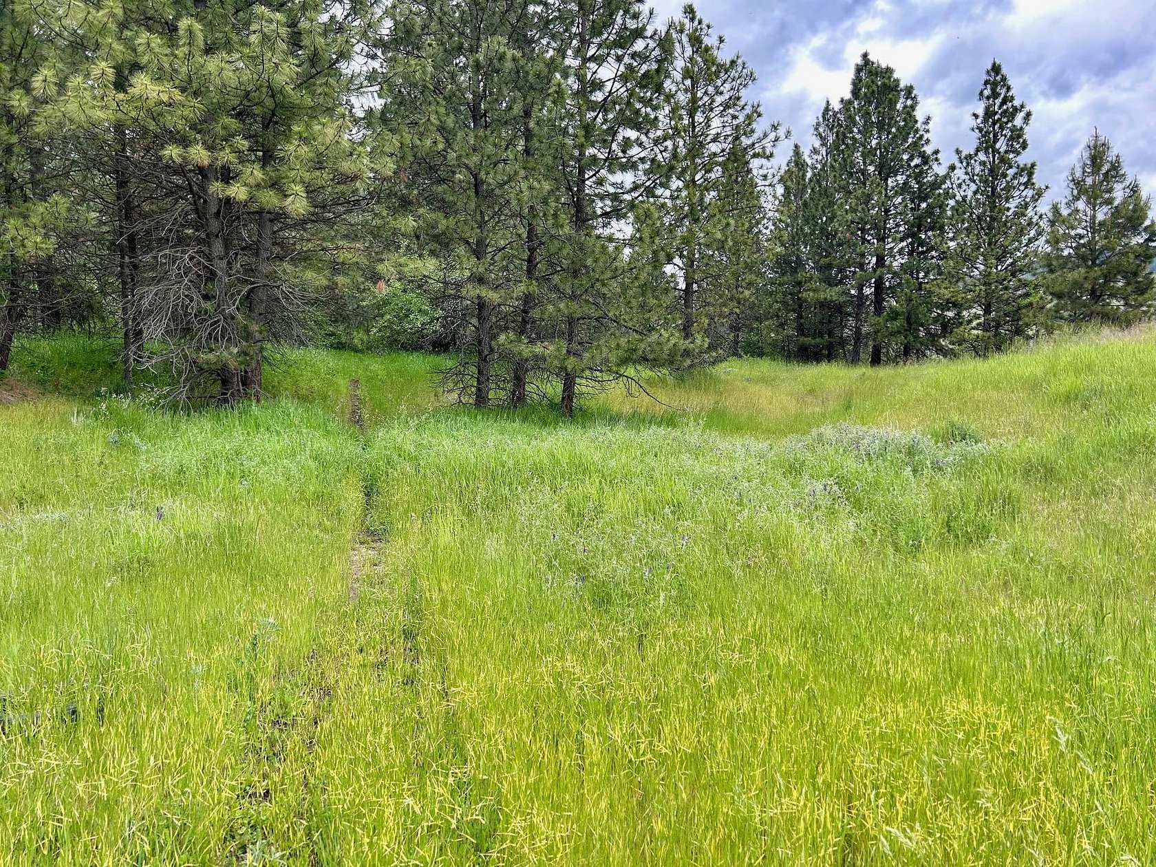 9.8 Acres of Land for Sale in La Grande, Oregon