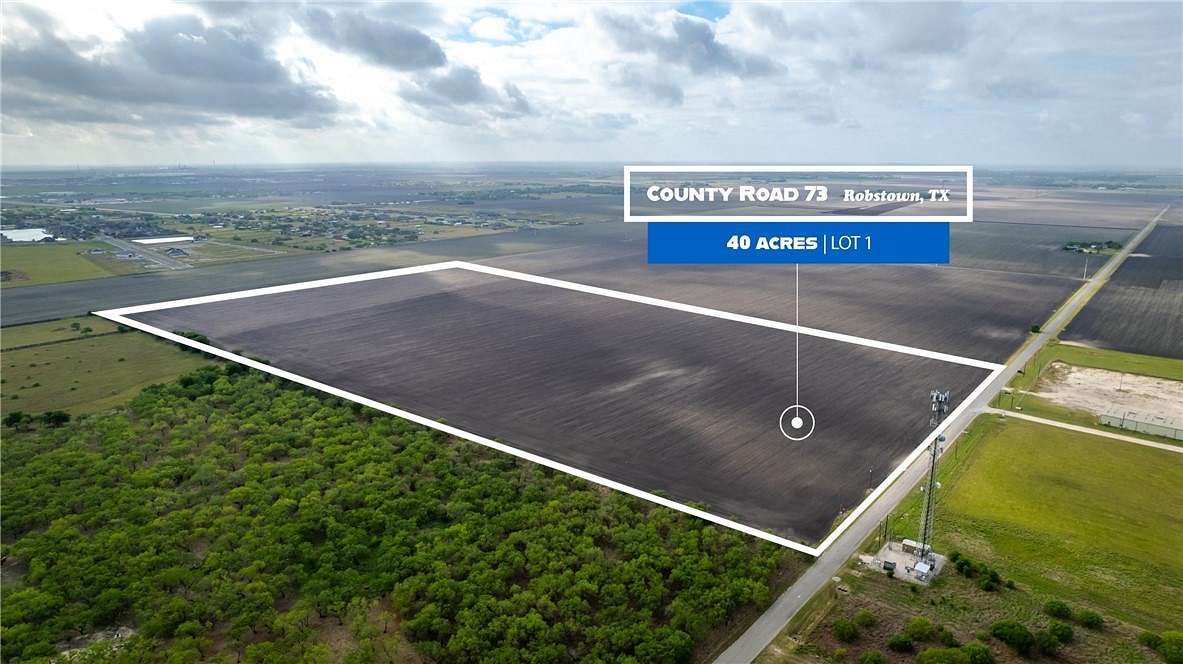 40.05 Acres of Recreational Land for Sale in Robstown, Texas