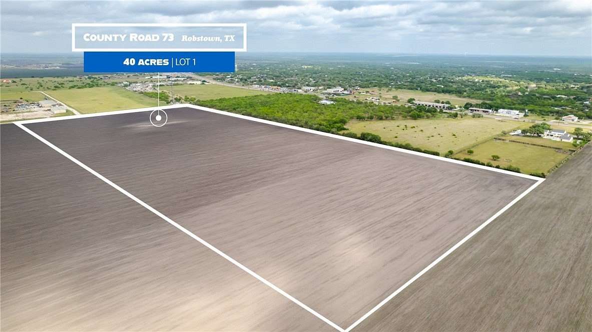 40 Acres of Recreational Land for Sale in Robstown, Texas