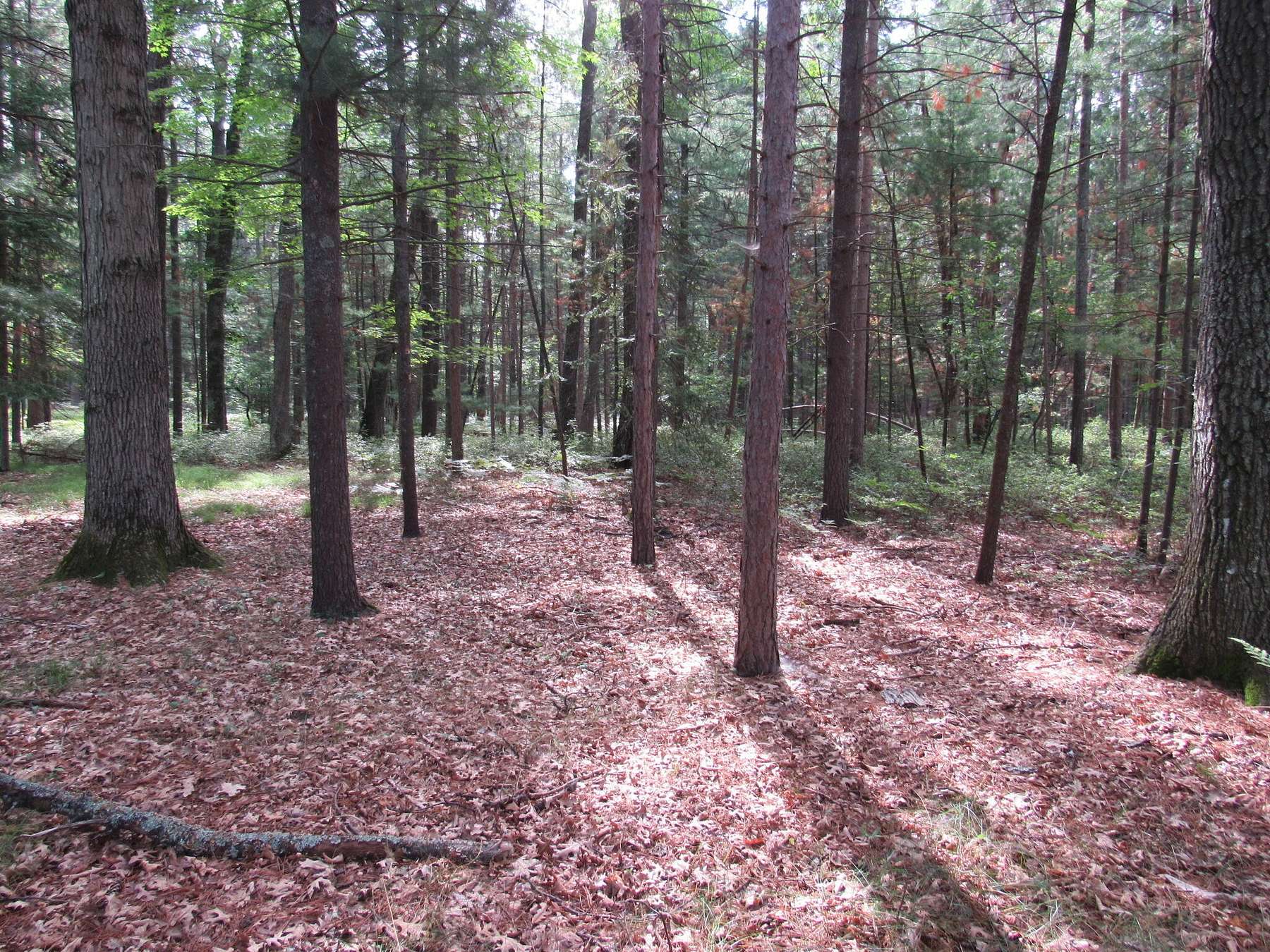 Residential Land for Sale in Prudenville, Michigan